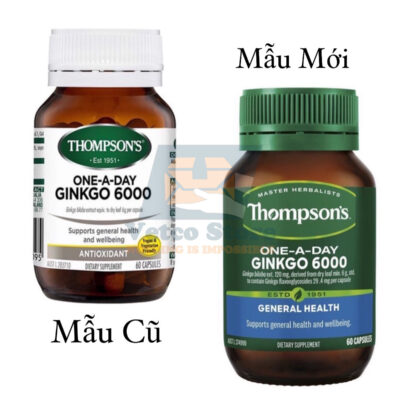 Bổ não Thompson ginkgo 6000 1