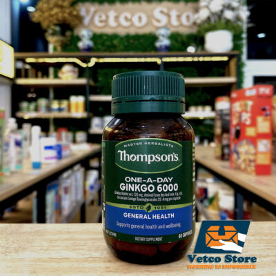 Bổ não Thompson ginkgo 6000