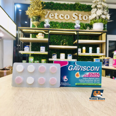 Gaviscon dual action 16v_2